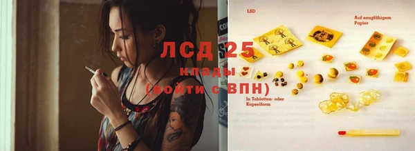 спиды Магас