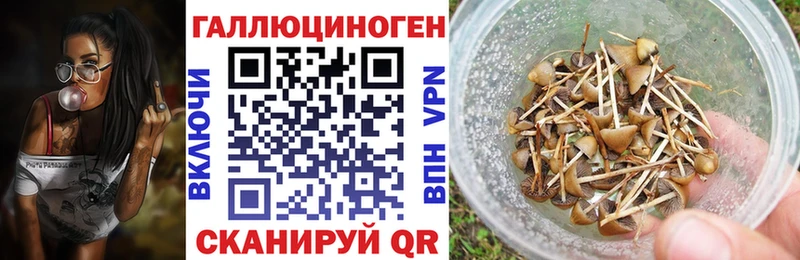 Галлюциногенные грибы мицелий Нея