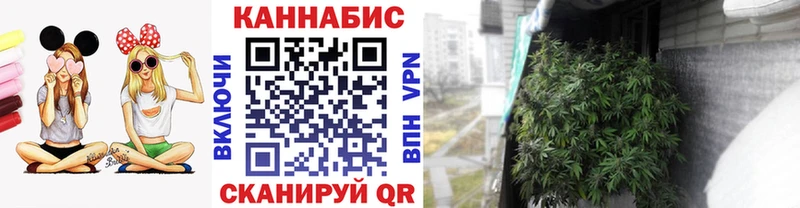 цены   Нея  Каннабис планчик 